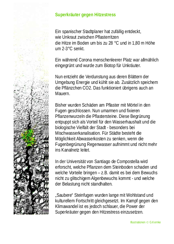 Entsiegelungsflyer2